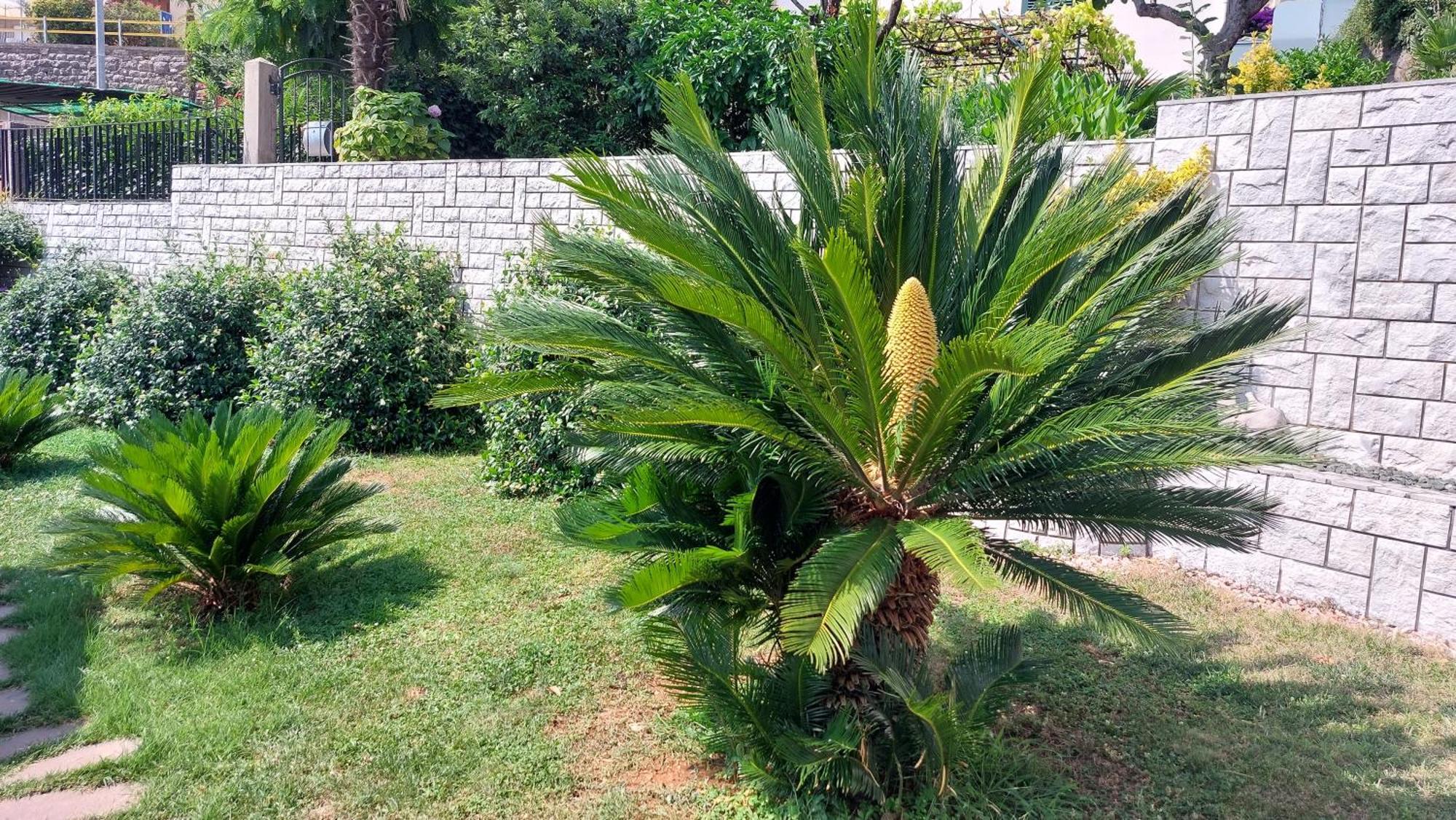 Opatija Centar Apartment Ngoại thất bức ảnh